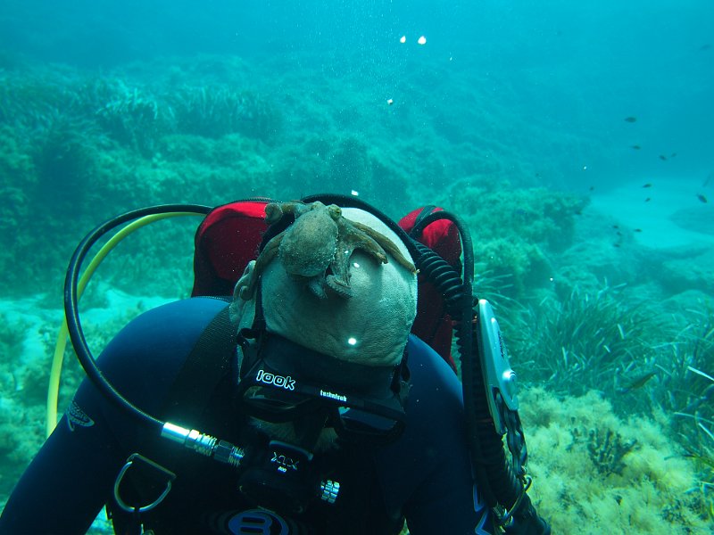 2013-09-12 12-01-51 Mary.JPG